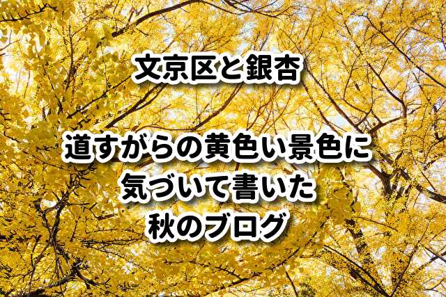 文京区と銀杏。小石川後楽園の紅葉